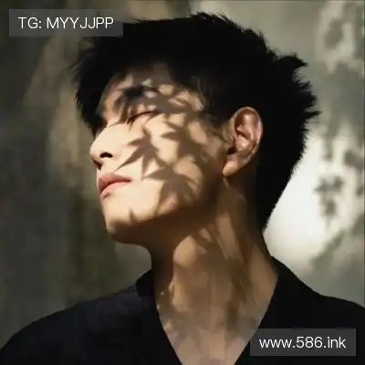 沈维朵